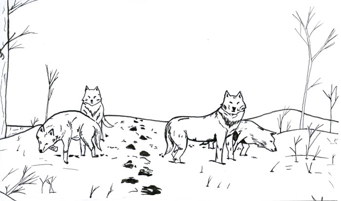 Волки (загадка Локи). Иллюстрация - Frost7q